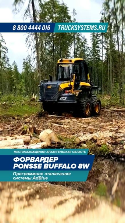 Видео: PONSSE Buffalo 8W — работа ТракСистемс